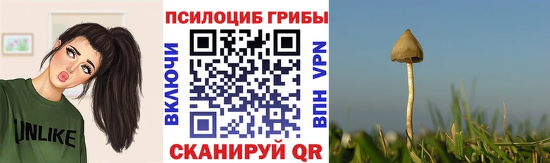 Галлюциногенные грибы ЛСД  Рузаевка 